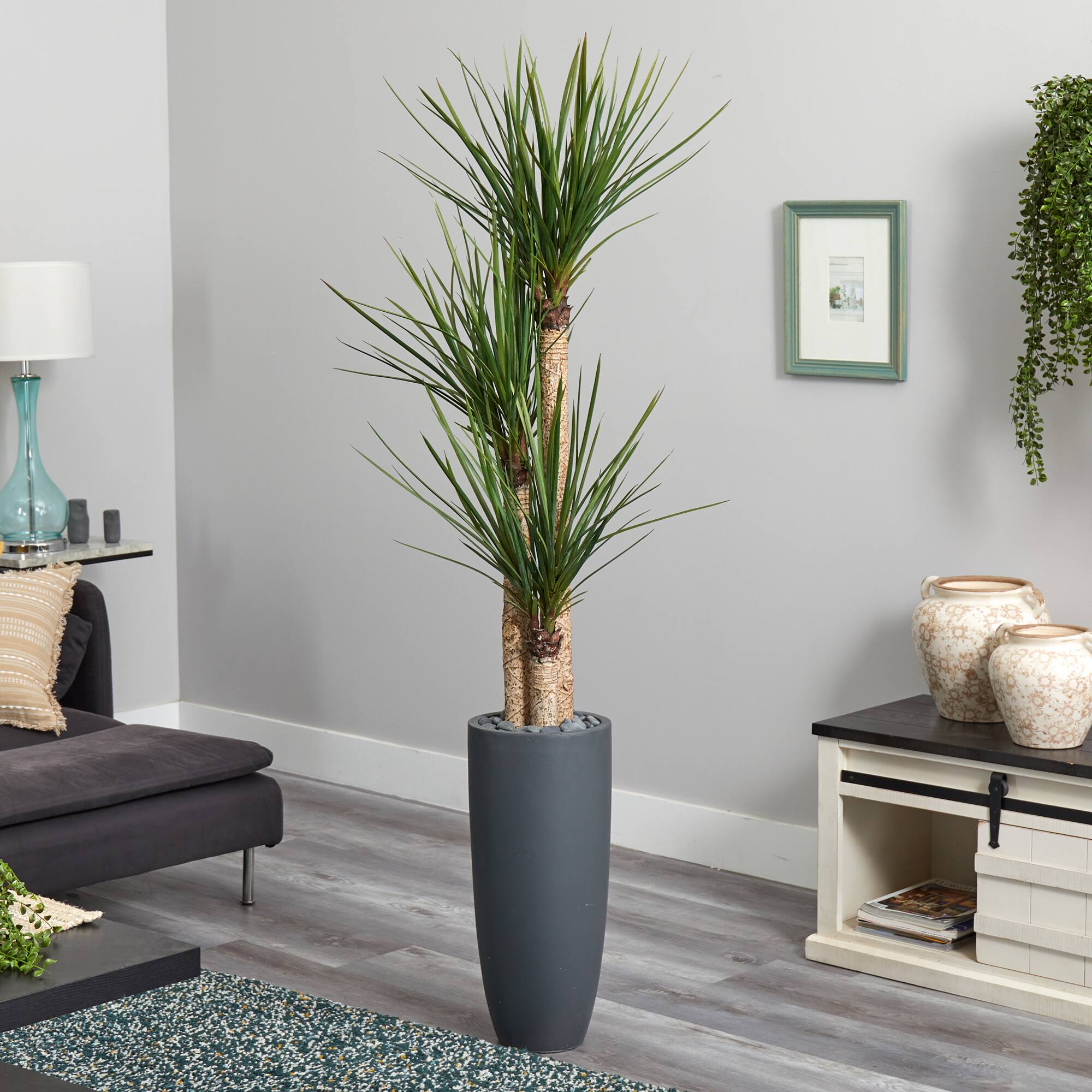 6ft. Yucca Tree in Black Planter
